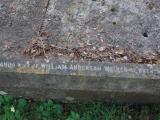 image of grave number 945844